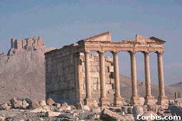 Palmyra_RuinsOfAncientForum2-R.jpg - Syria, Palmyra, Ruins of Ancient Forum
